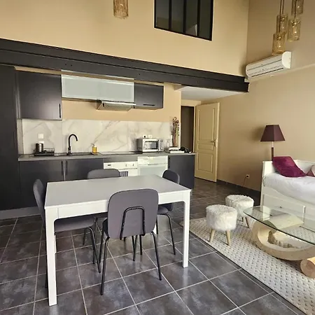 Appartement Le Duplex Du Jardin Des Cils Le Péage-de-Roussillon